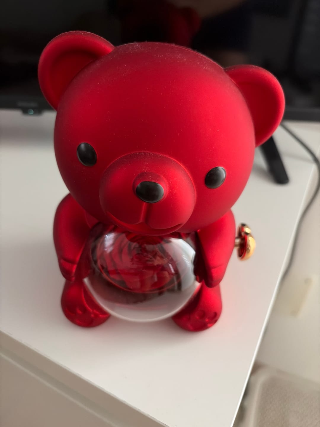 Customer photo review of Eternal Rose Bear & Personalized Necklace