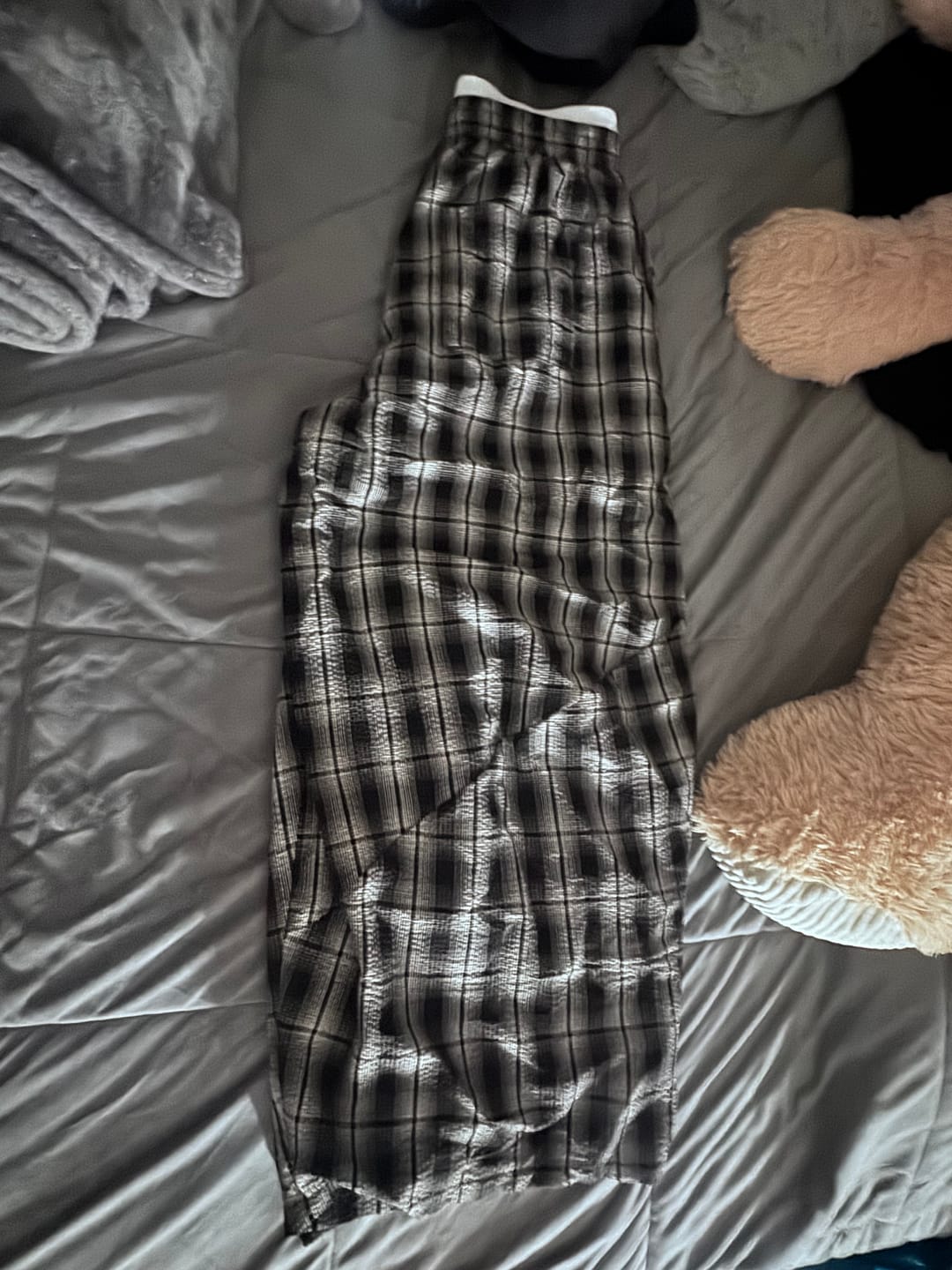 Customer photo review of Aelfric Eden Baggy Sweatpants