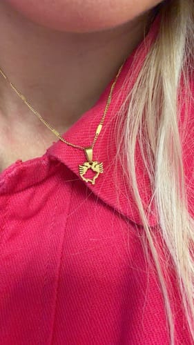 Customer photo review of SHQIPONJA PENDANT