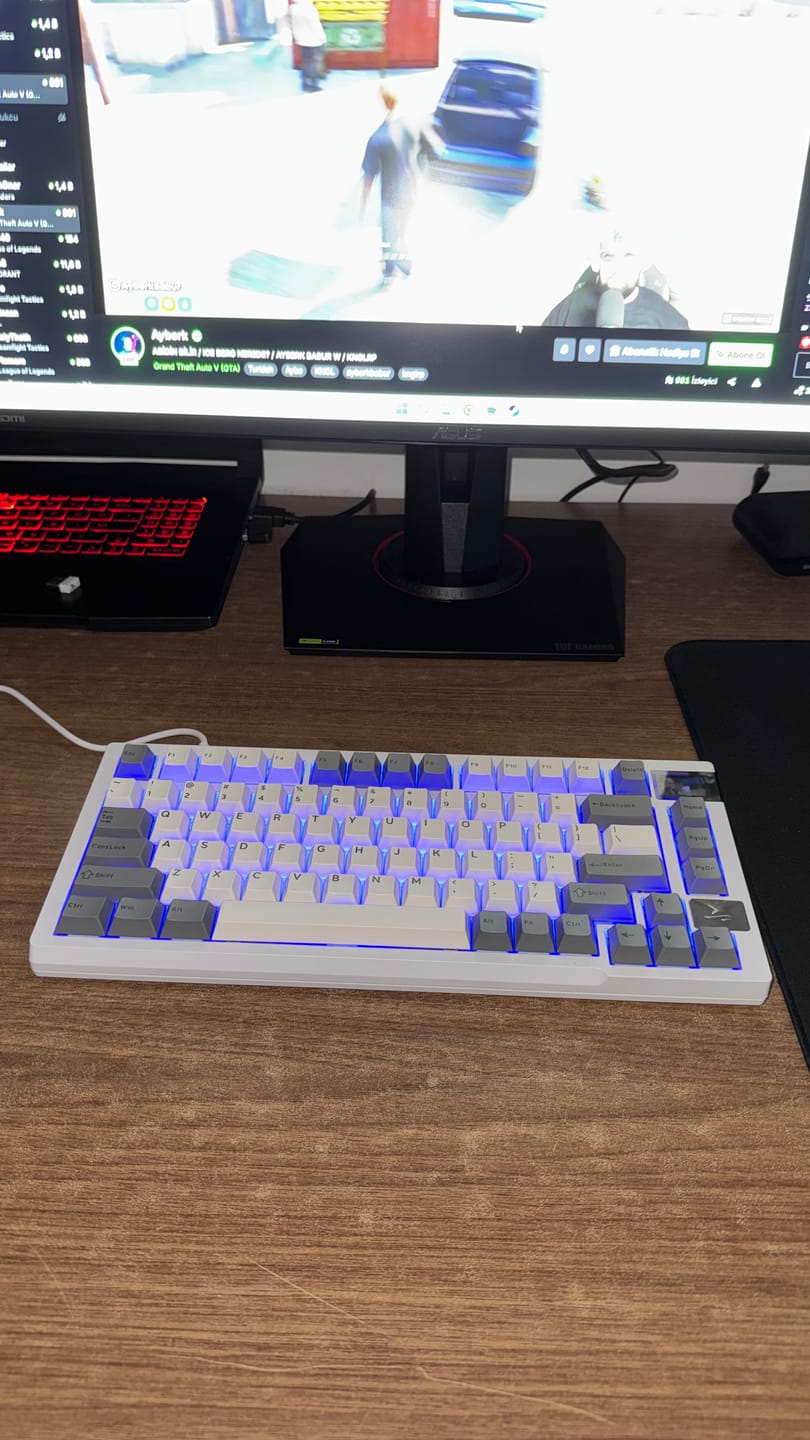 Customer photo review of Darmoshark K8 Mekanik Klavye