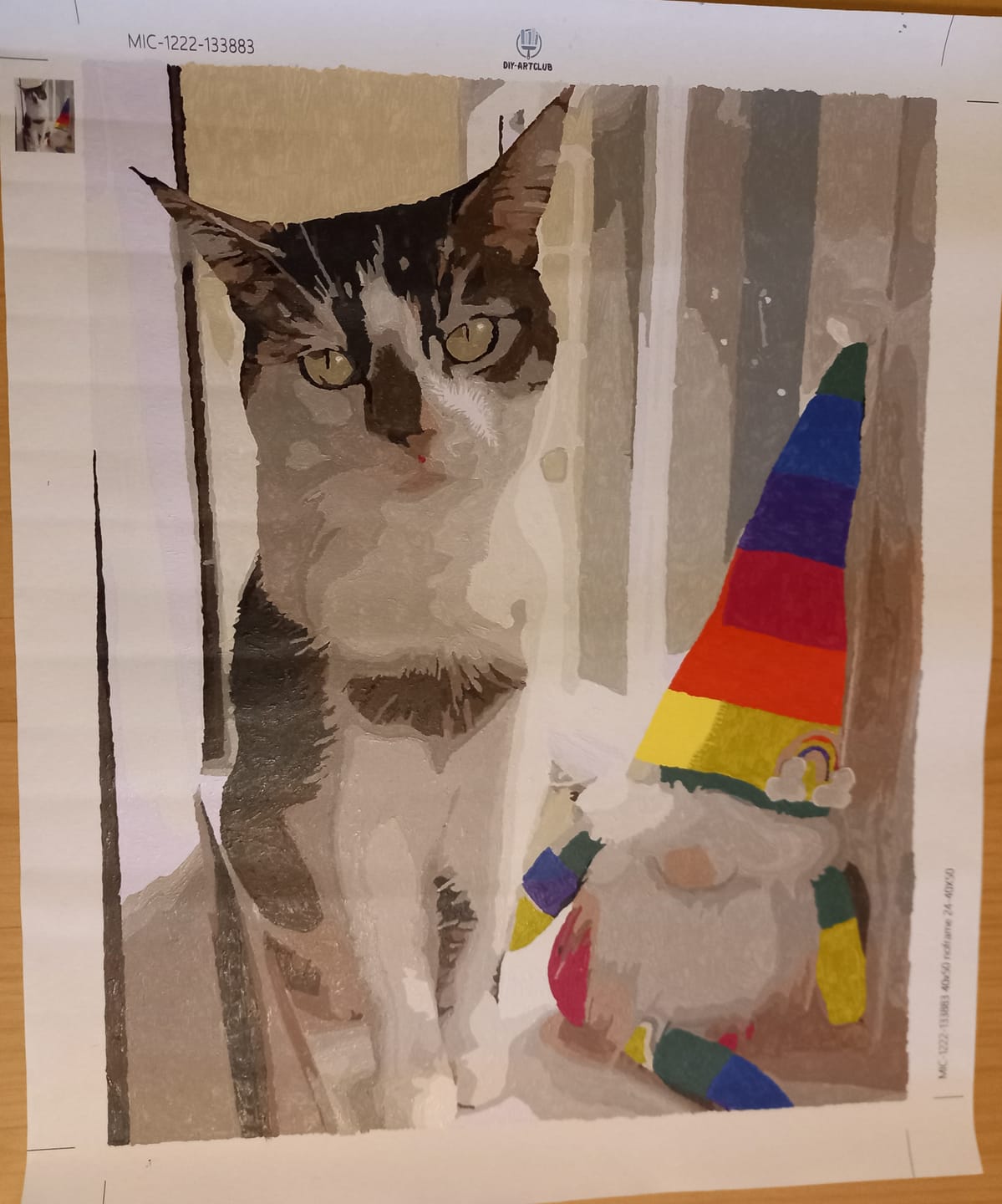 Customer photo review of Custom Kit | Paint by Numbers