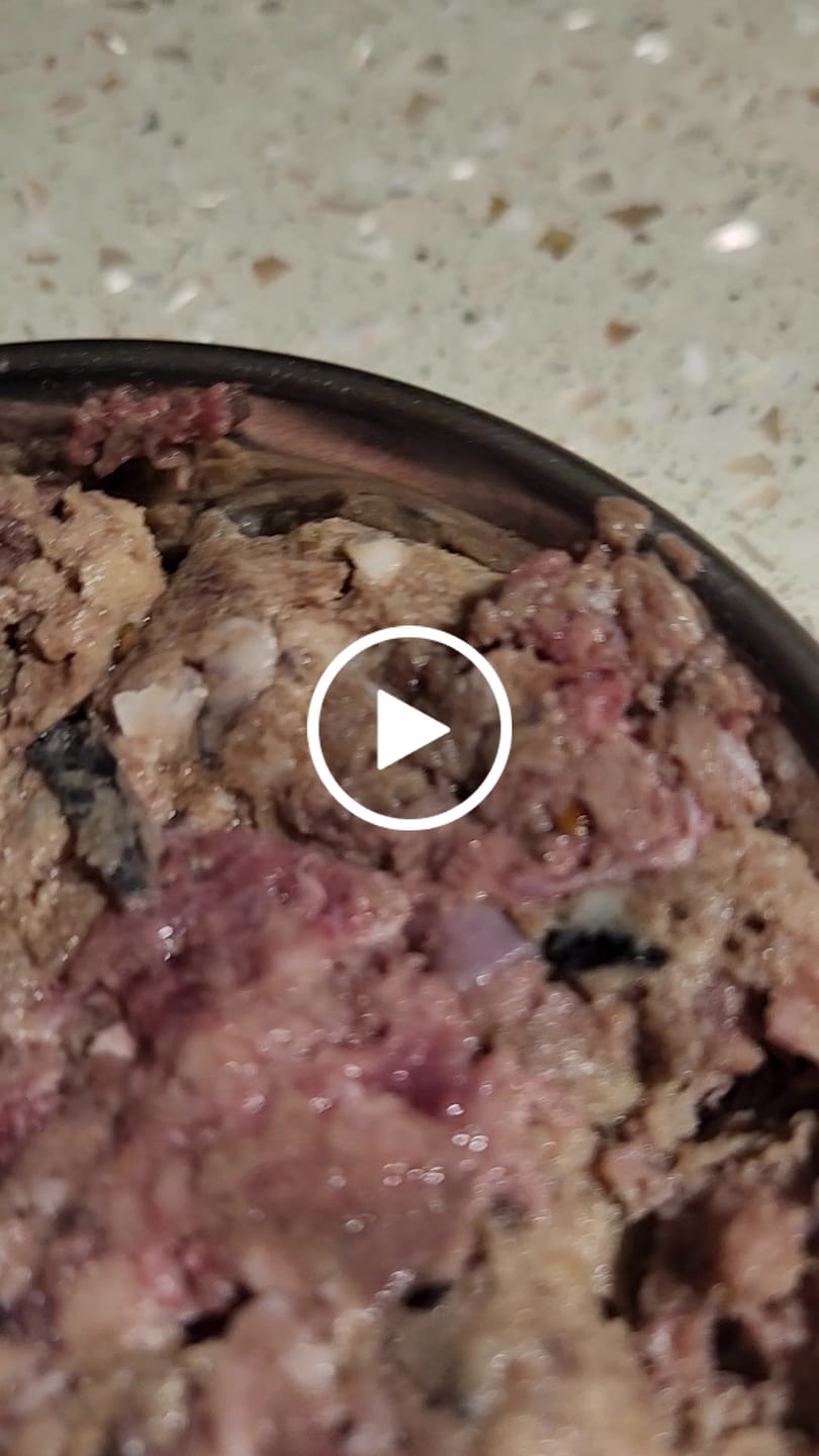 Customer video review of Beef Box for Dogs