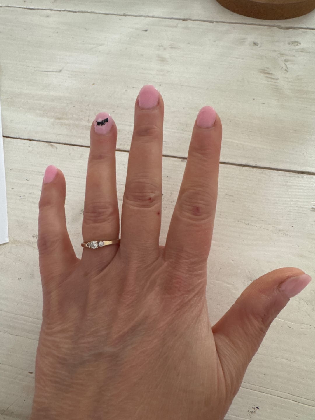 Customer photo review of Voordeel Set 4 Kleuren - Kies 4 Stuks