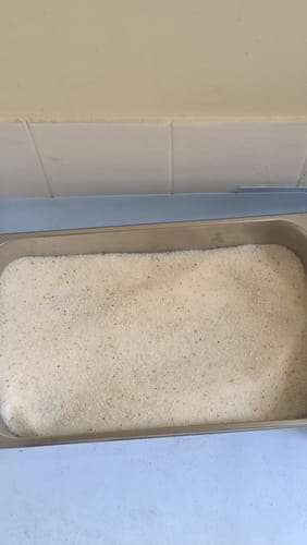 Customer photo review of 1 Month Supply - 1 Cat - One-Time Purchase