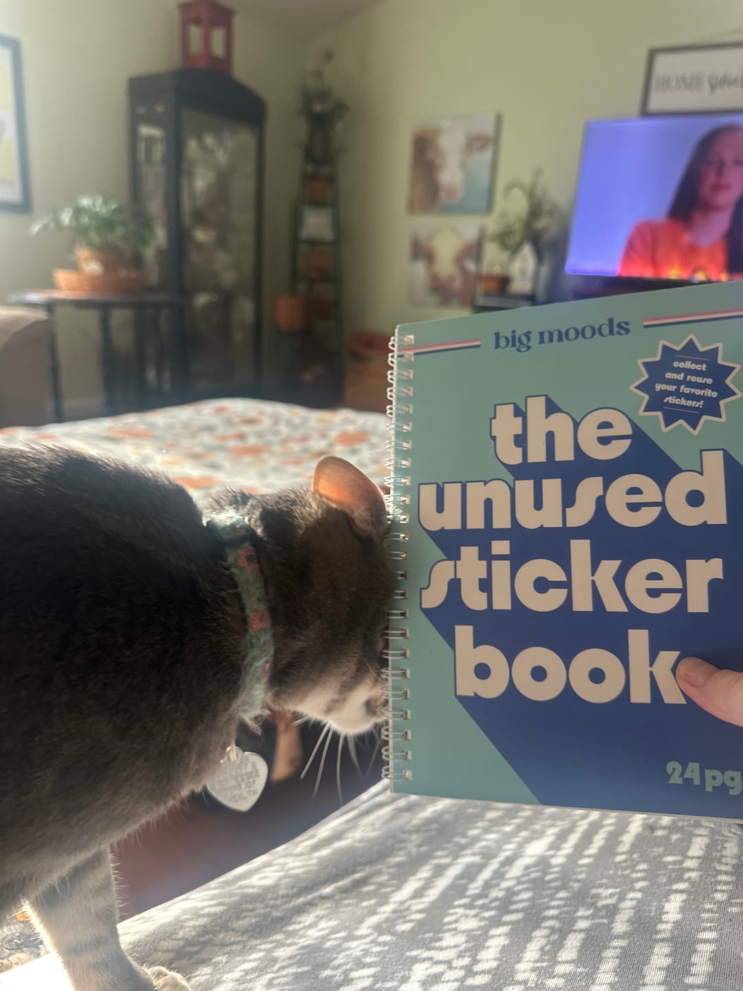 Customer photo review of The Unused Sticker Book