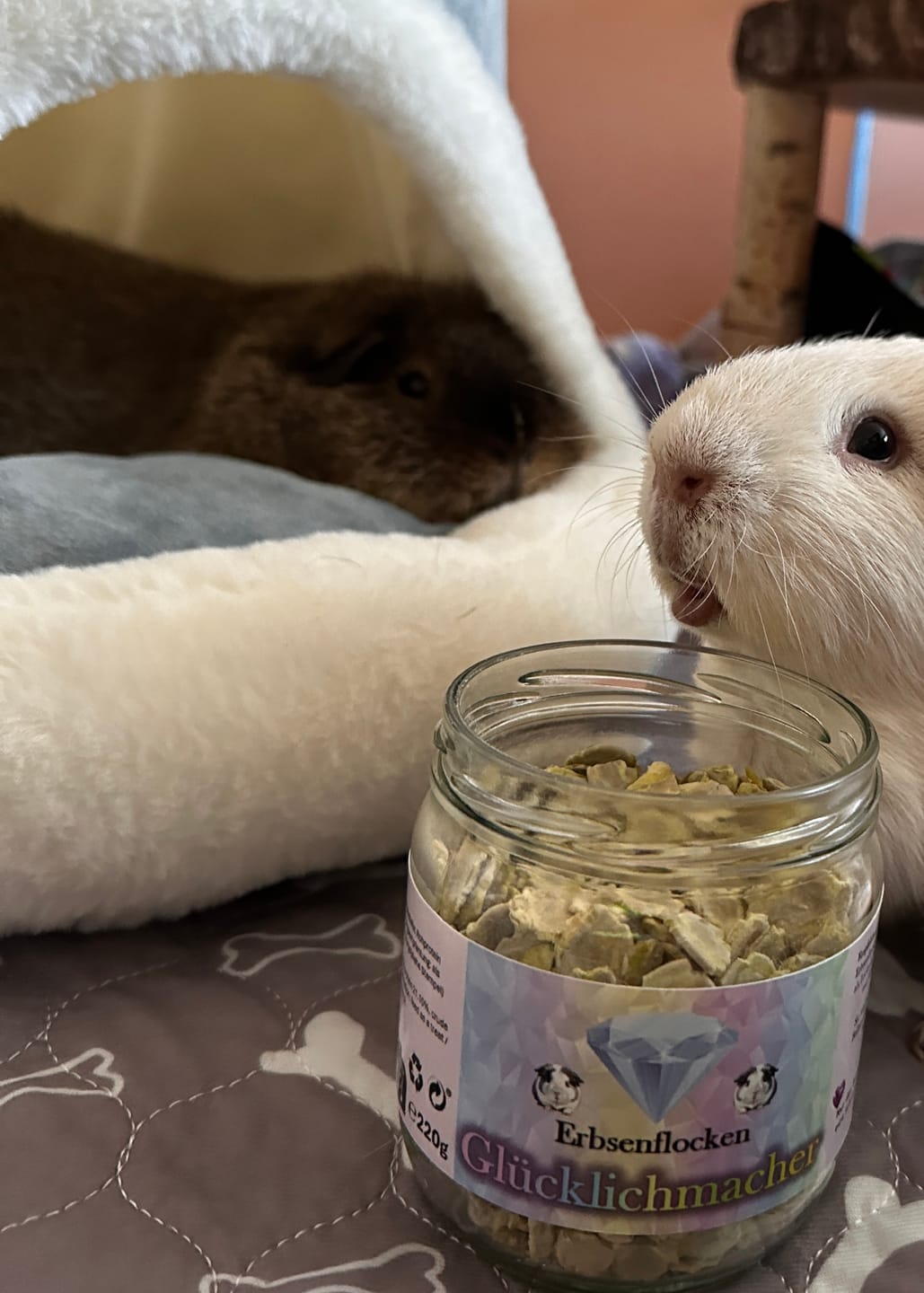 Customer photo review of 🌿Glücklichmacher im Glas – Knuspergenuss mit wertvollen Nährstoffen