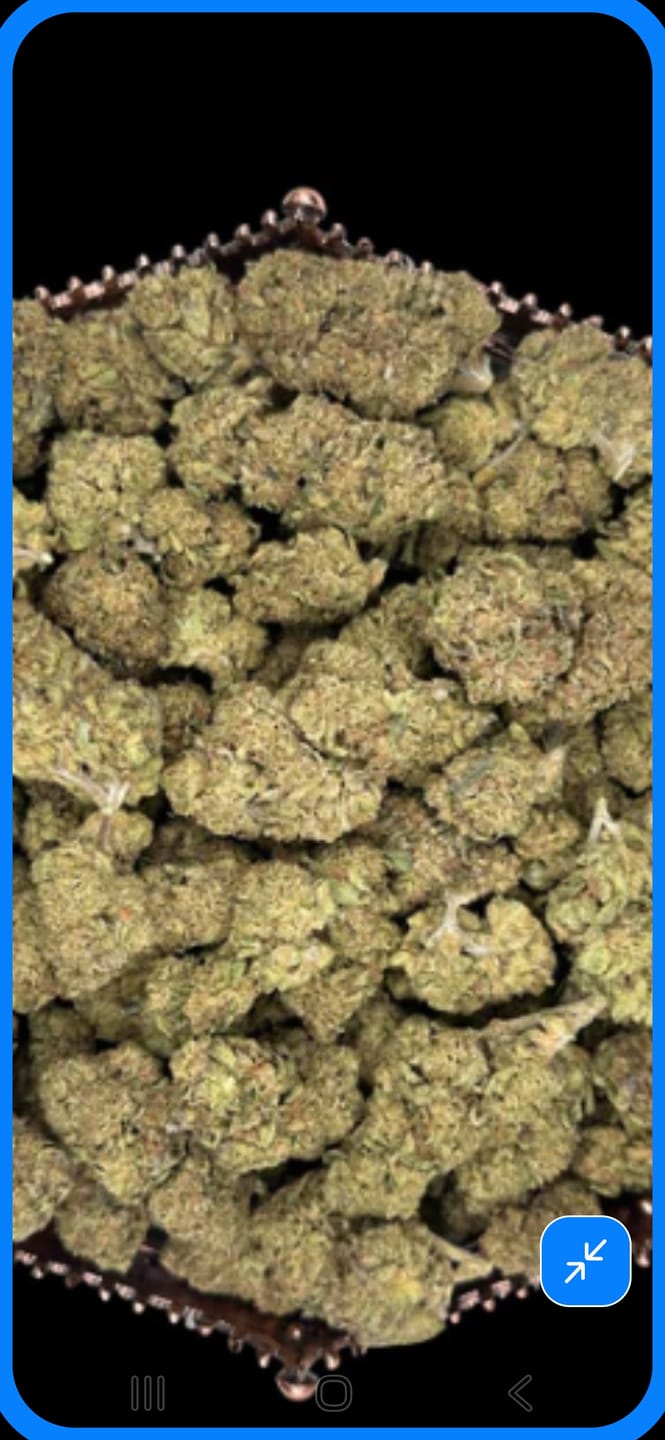 Customer photo review of Diamond Rain Runtz Greenhouse THCA