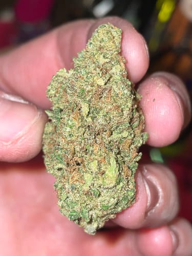 Customer photo review of Blue Dream - 28 Grams - Sativa