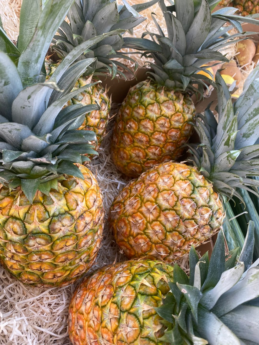 Customer photo review of Ananas Flugware reifgeerntet (stk. ca 1,5kg!) Aktionspreis %