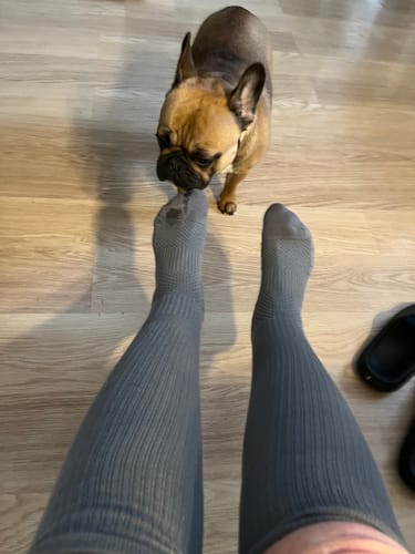 Recensent som har på sig gråa Diasocks Stödstrumpor, sedd uppifrån, med en hund vid fötterna.