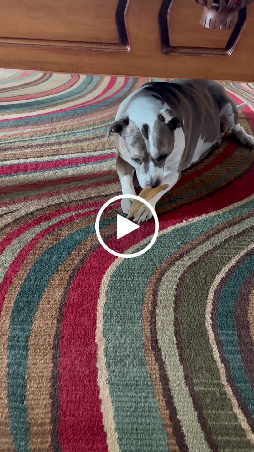 Customer video review of Hickory Smoked Bully Sticks