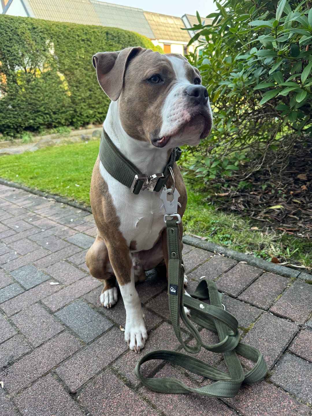 Customer photo review of Multi Guard Leash Khaki - Multi-väktarkoppel