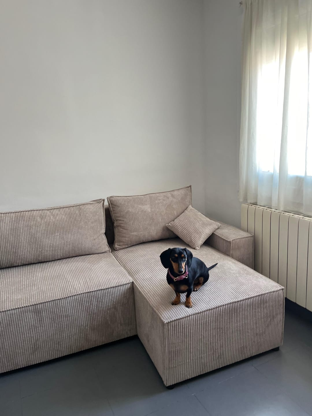 Customer photo review of Kampas "Venice" Kreminis