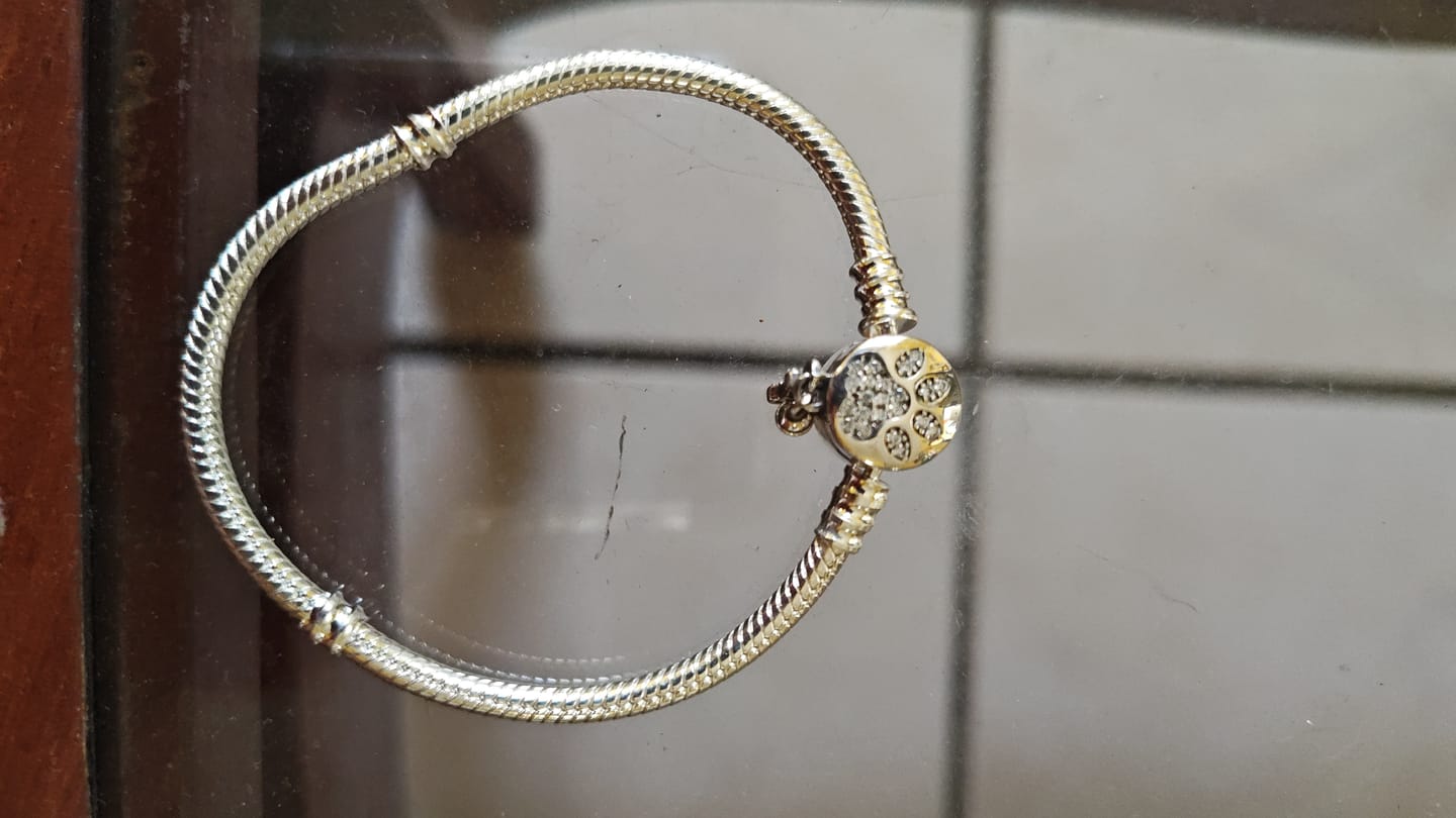 Customer photo review of Pulsera Huella de Perrito Diamantes