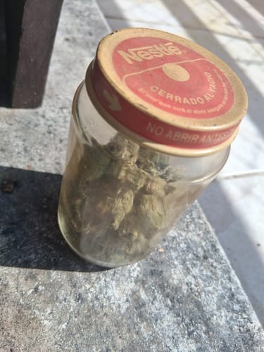 Customer's CALI MIX AAA+ buds stored in a glass jar with a red lid on a stone surface.