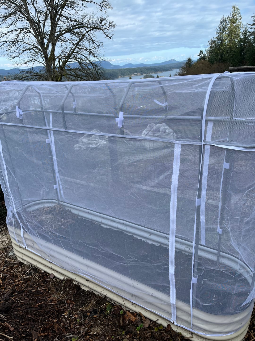 Customer photo review of Garden Cover System