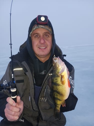 Customer photo review of Pre-Built Power Noodle