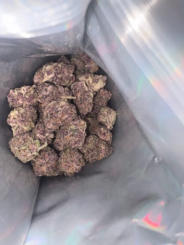 Customer photo review of Shipping Protection by Route