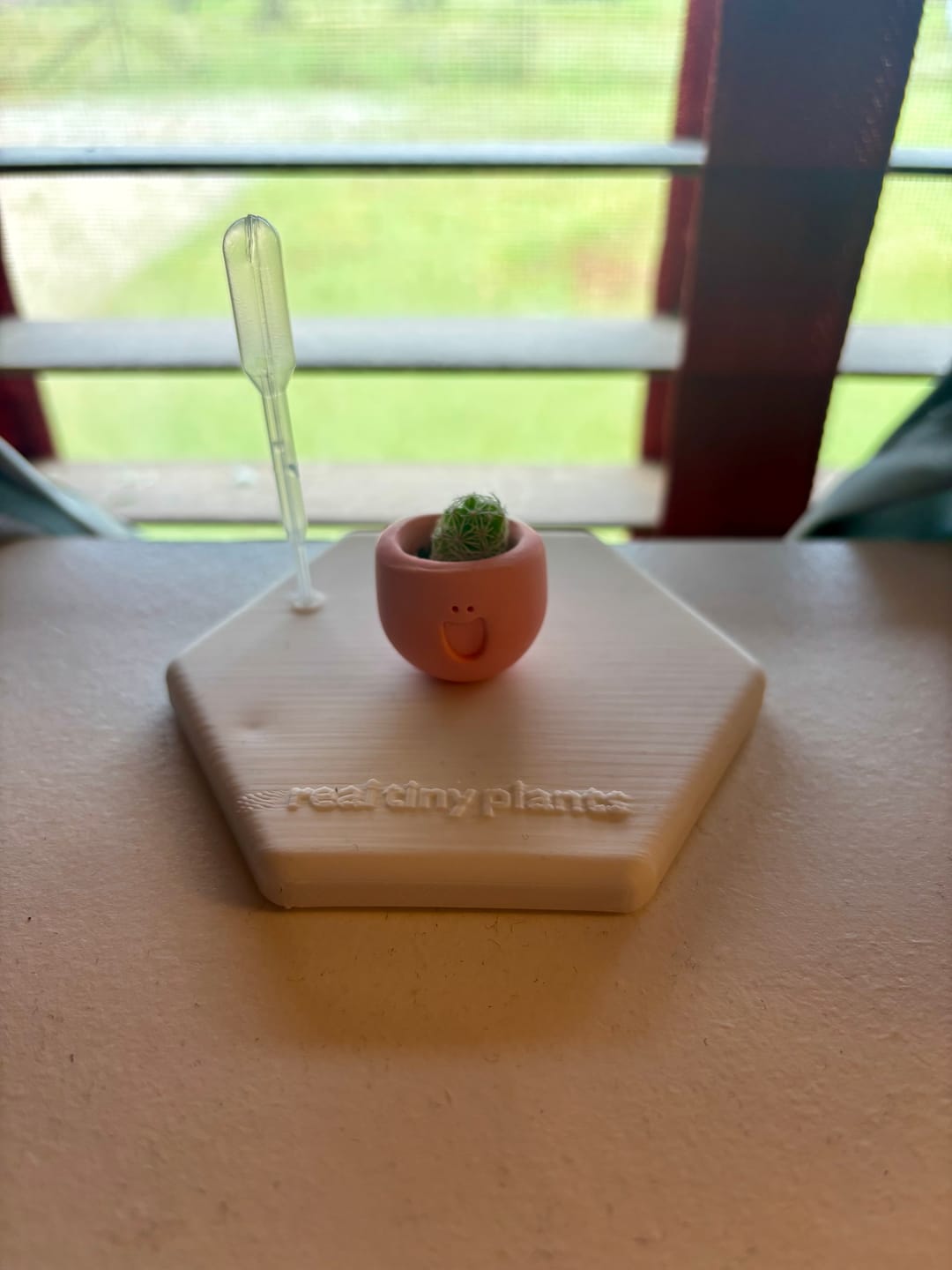 Customer photo review of LOL