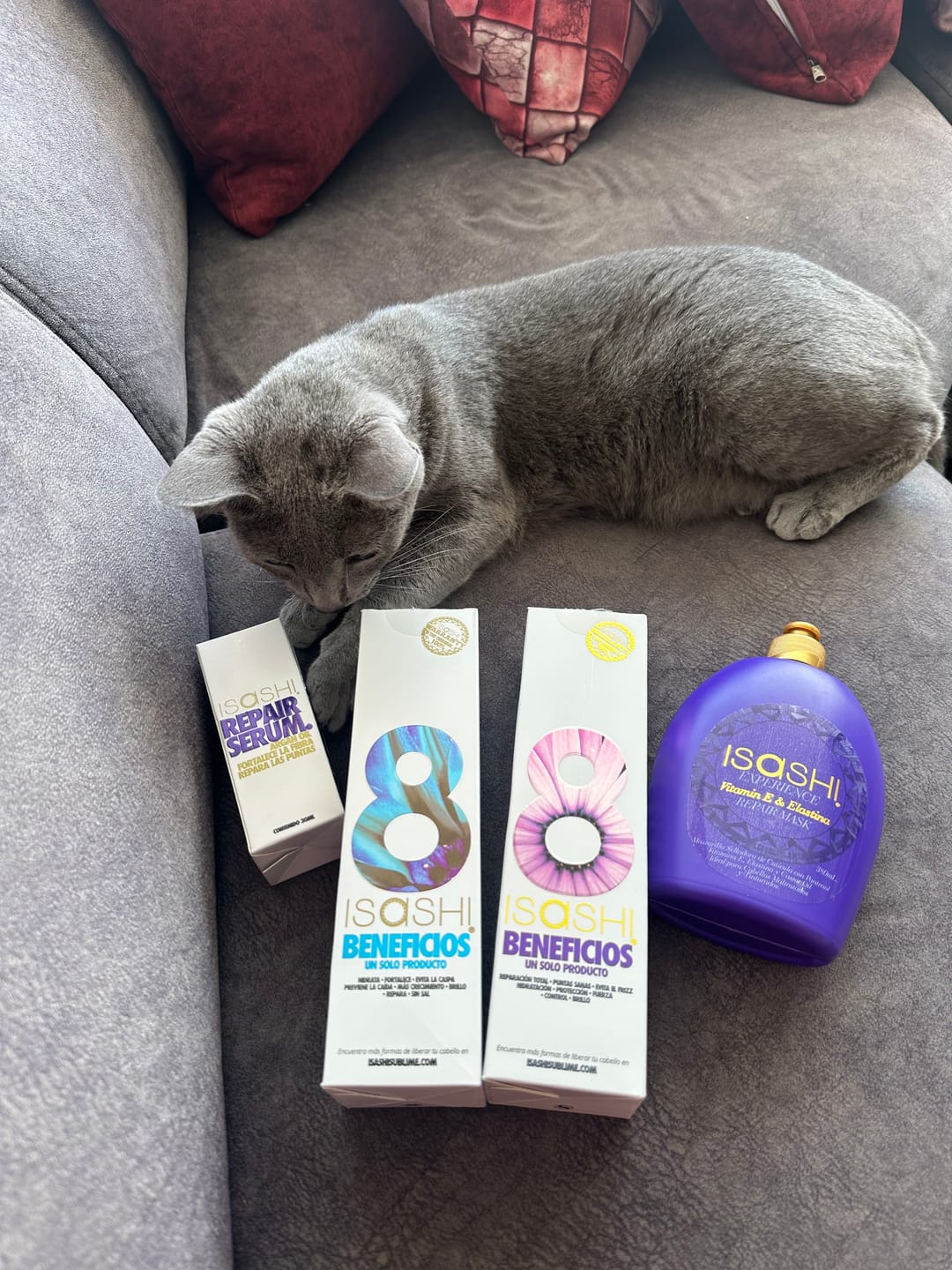 Customer photo review of KIT REPARACION FIN DE AÑO