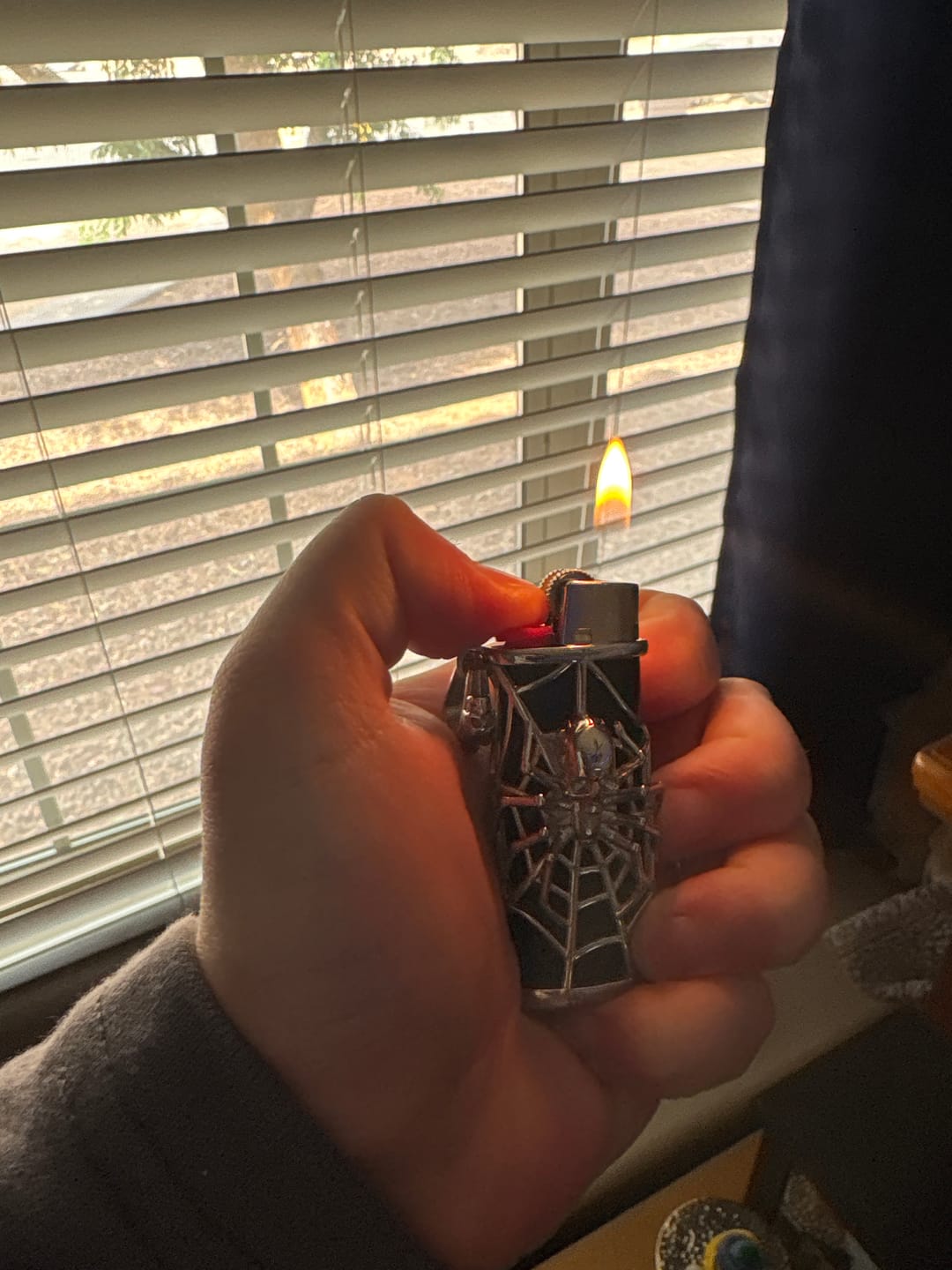 Customer photo review of SPIDER LIGHTER CASE