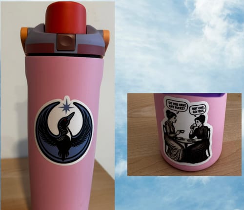 Customer photo review of Do You Have Any Fucks? Sticker