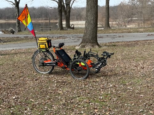 Customer photo review of Catrike Neckrest Kit
