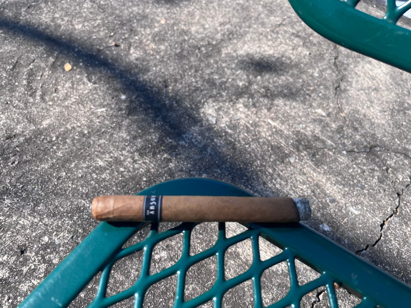 Customer photo review of The Absurd 2026