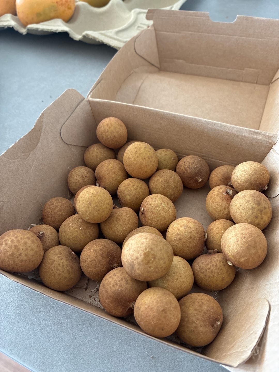 Customer photo review of Longan naturbelassen