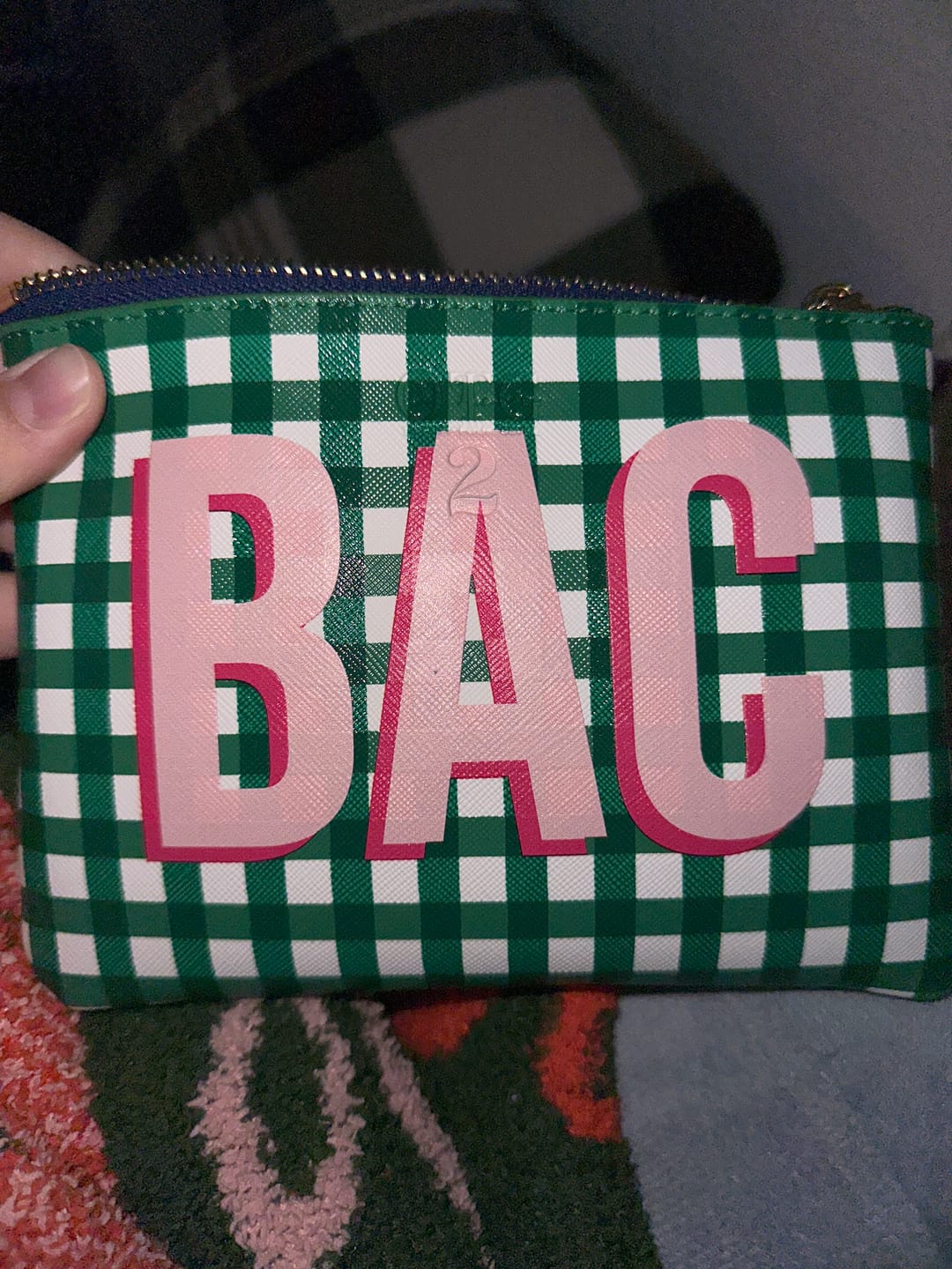 Customer photo review of #2 Britt Check Green Pouch