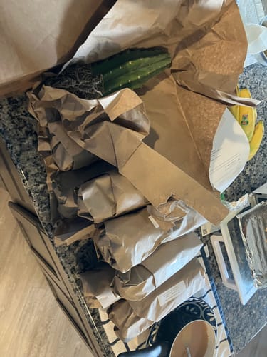 Customer photo review of Trichocereus Pachanoi | San Pedro Cactus Bulk Packs