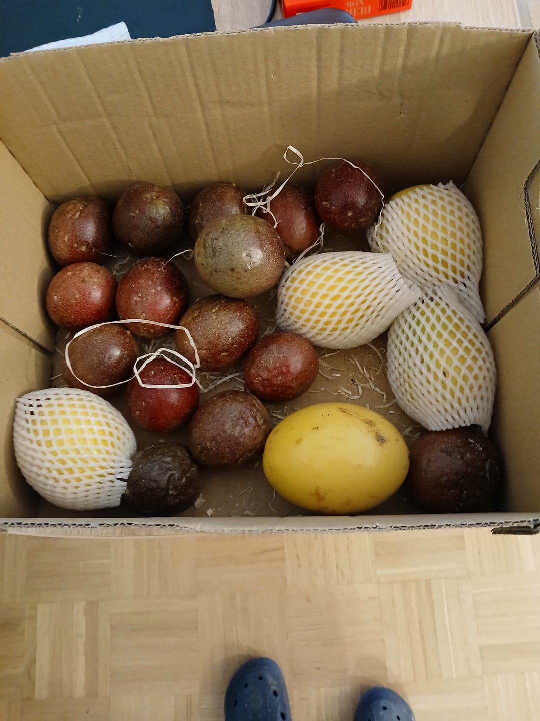 Customer photo review of Passionsfrüchte von Julian Sonderaktion %