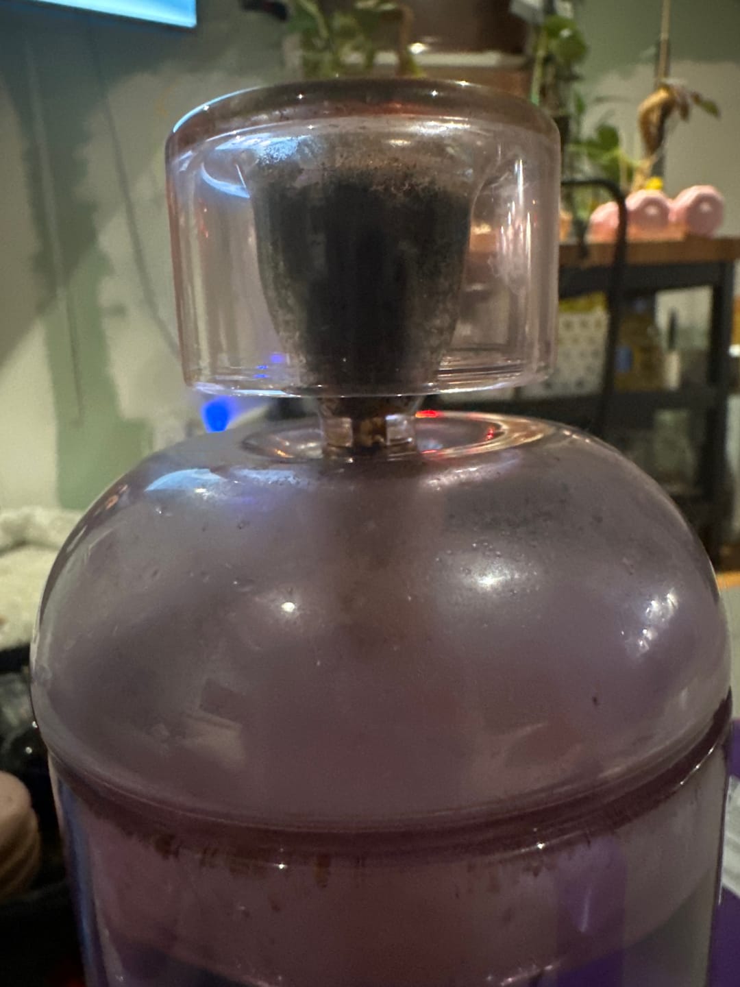 Customer photo review of XL Vesper Bowl
