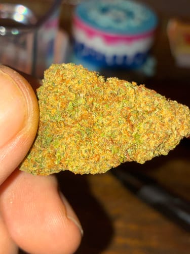 Customer photo review of Screwdriver THCA Flower