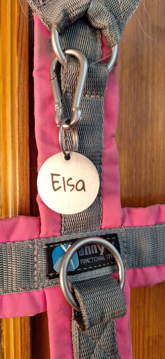 Customer photo review of Hundemarke mit Gravur, Name und Telefon personalisiert, rund, 25mm oder 30mm in verschiedenen Farben