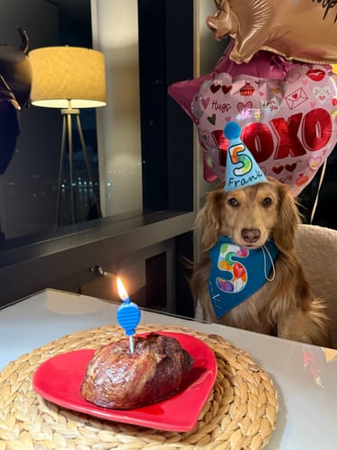 Customer photo review of Lite Personalized Dog Party Pack