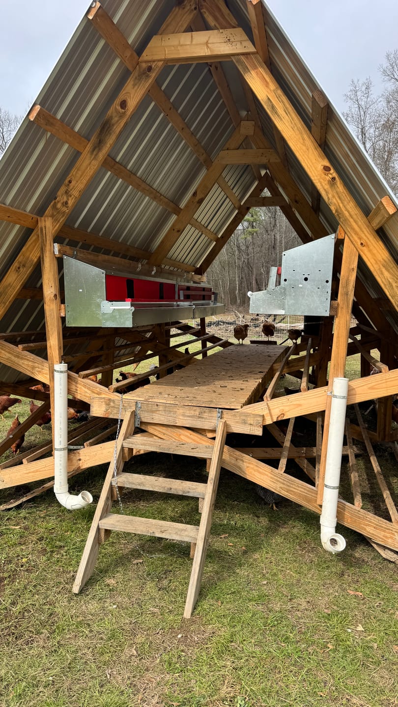 Customer photo review of X-Large (72") Reversible Roll-out Nest Box (Up to 75 Hens)