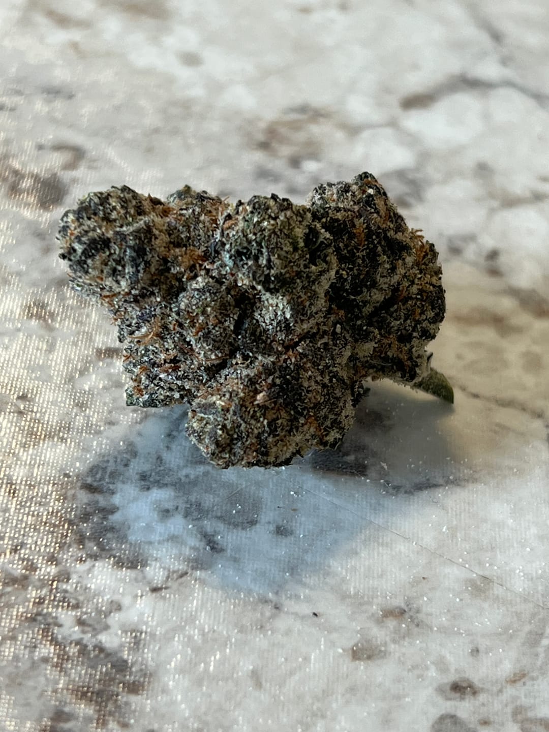 Customer photo review of Danky Kong