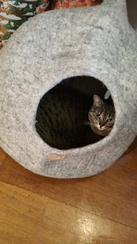 Customer photo review of Delux