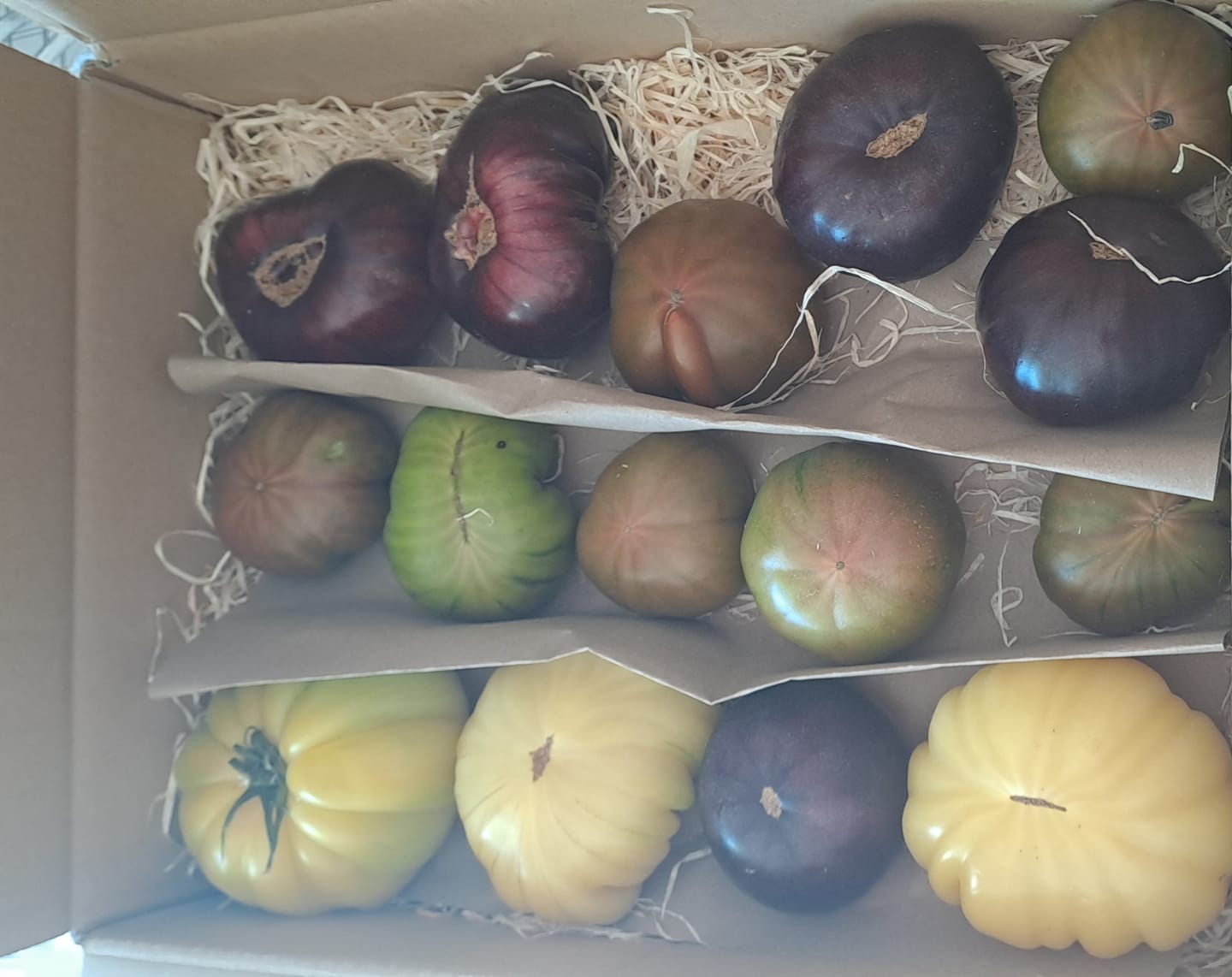 Customer photo review of Tomaten Mix von Julian Sonderaktion % 3kg Box