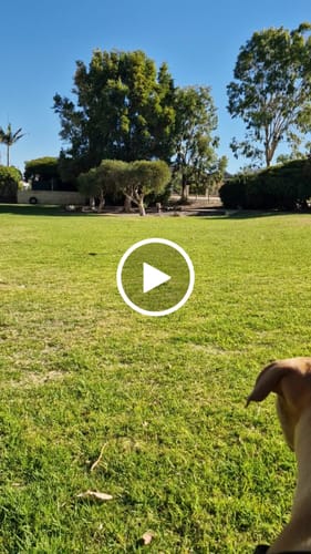 Customer video review of Spare Propellers (Set of 4)