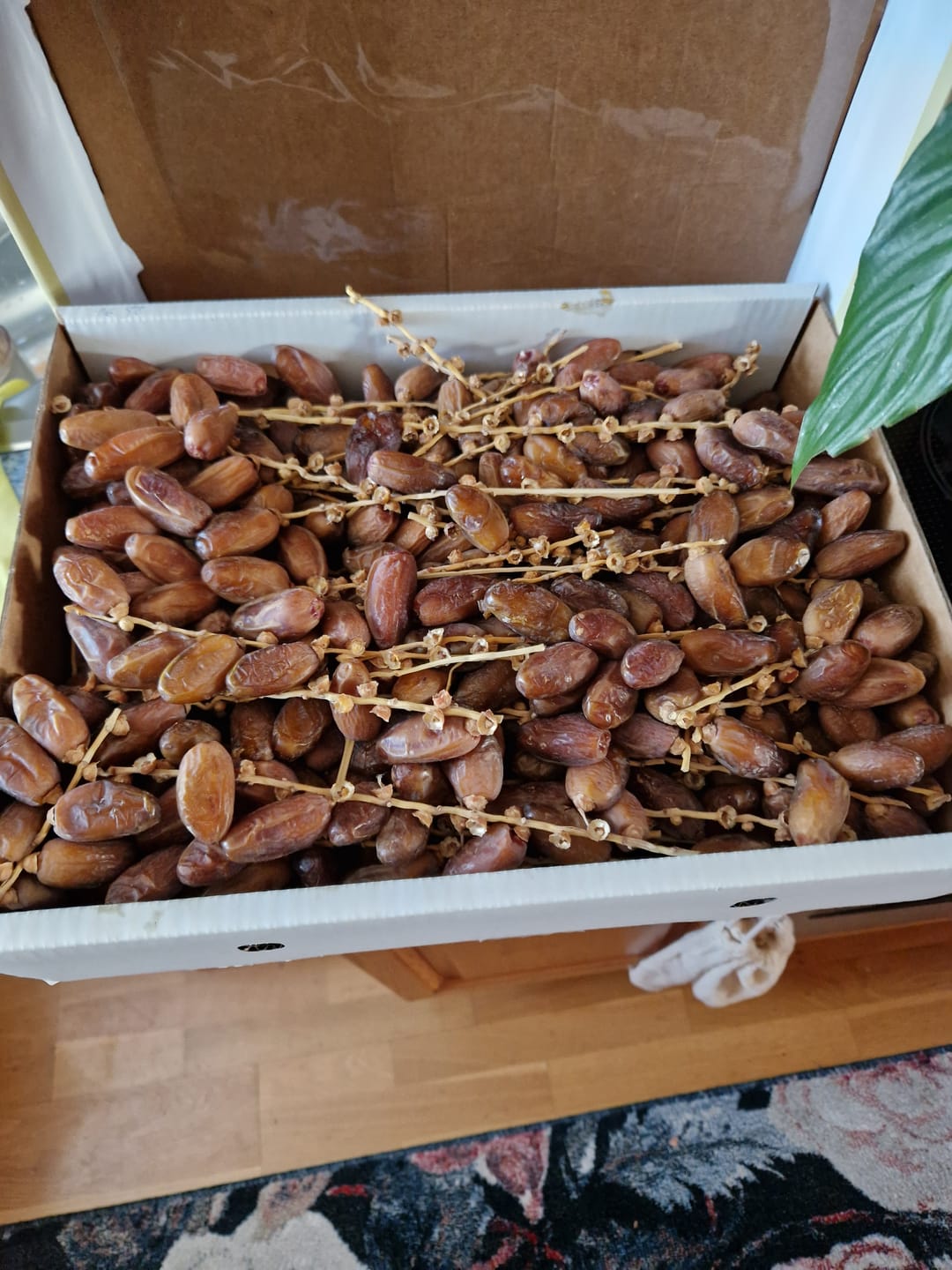 Customer photo review of Datteln Deglet Nour Demeter 5kg Box