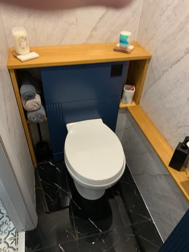 Customer photo review of Alpha Back to Wall Toilet