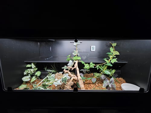 Customer photo review of XT4 BIO24 (48Lx24Dx24H) - STACKABLE