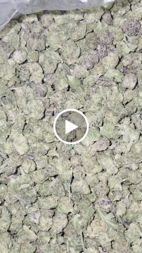 Customer video review of Tropicana Marker Exotic THCa Flower 10g Jar Hybrid