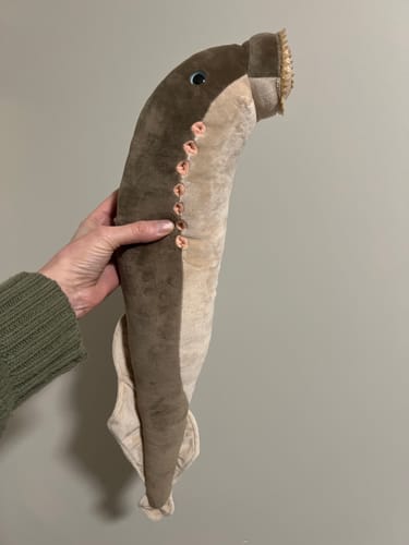 Customer photo review of Sea Lamprey Soft Stuffed Plush Toy
