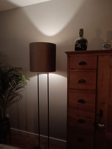 Recensent toont de taupe velours lampenkap op een verlichte staande lamp in een hoek.
