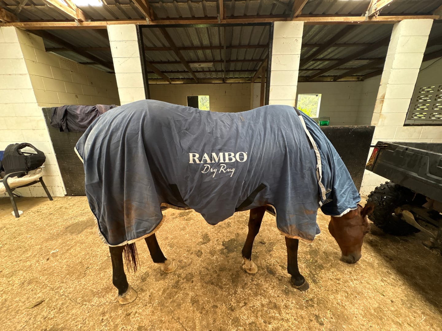 Customer photo review of Rambo Supreme Dry Rug