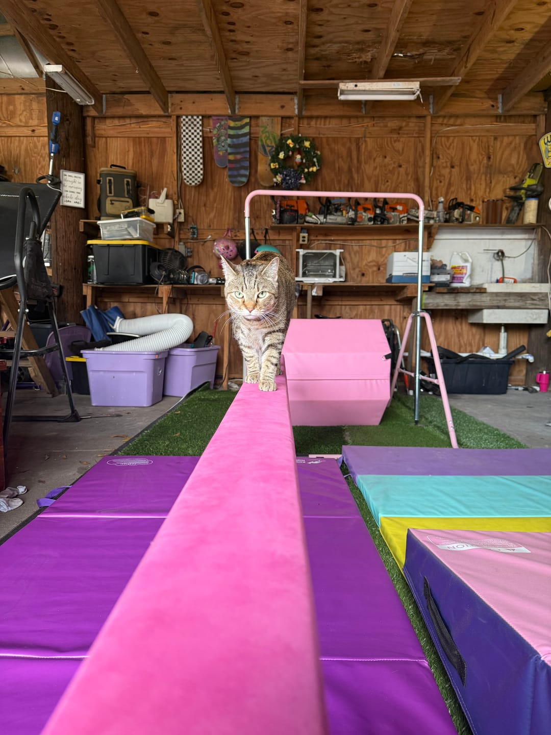 Customer photo review of 8Ft Adjustable Gymnastics Beam