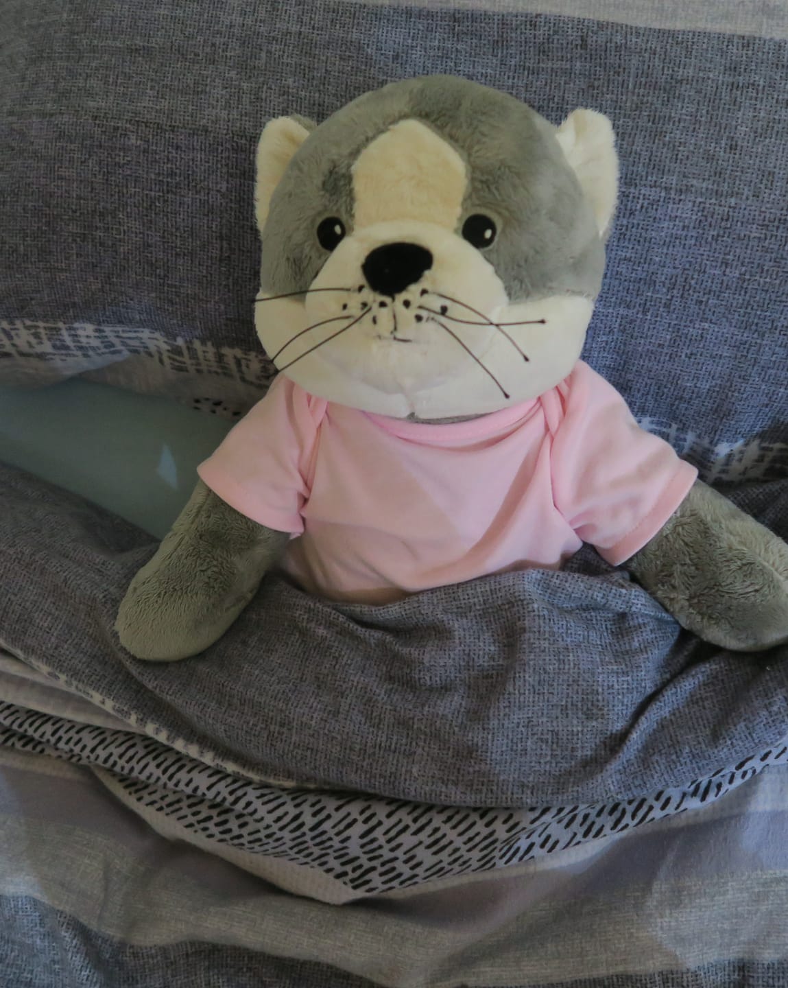 Customer photo review of Lotgenootje Kat 2kg
